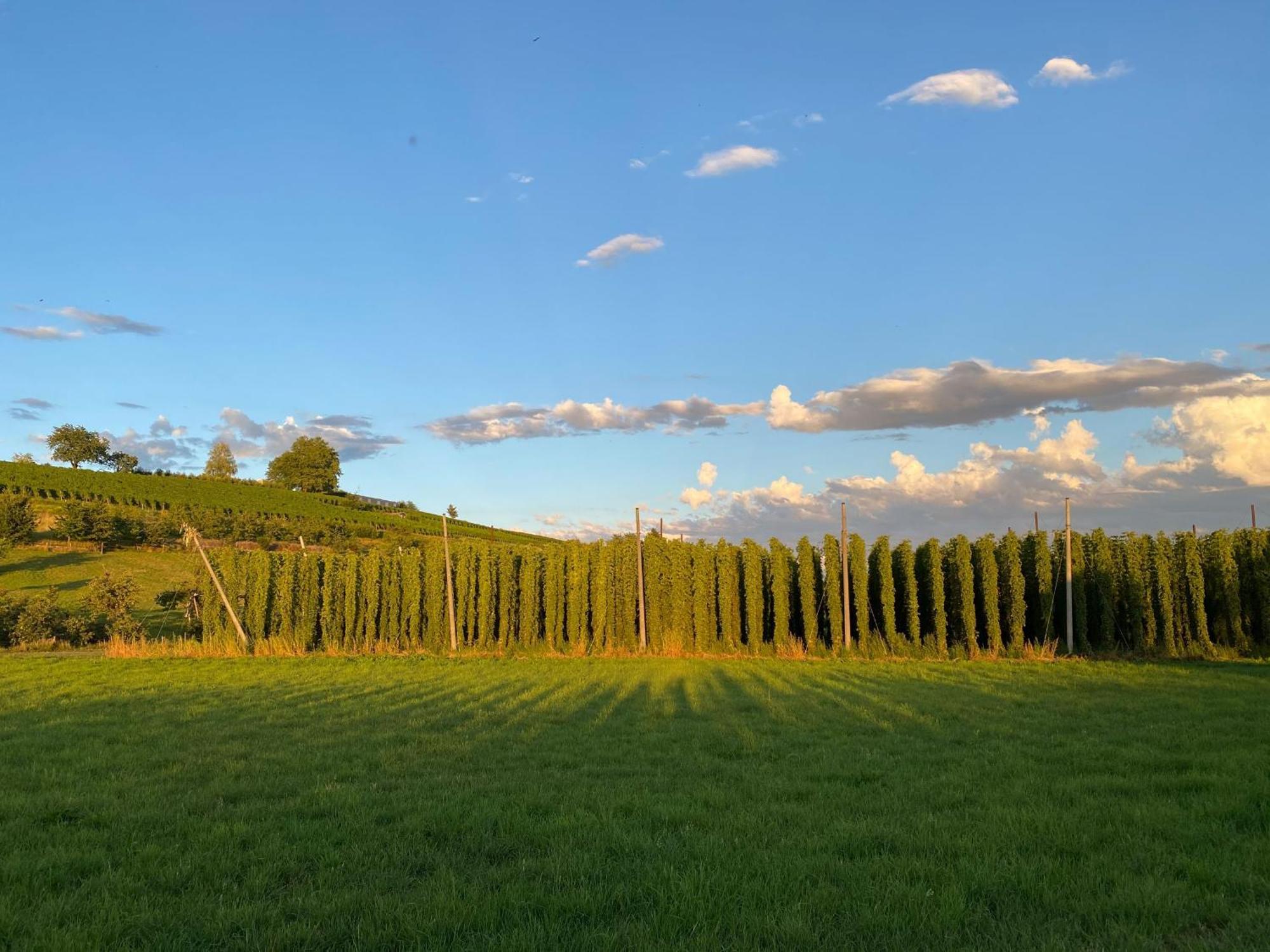 Beim Dorfbach - Die Hofchalets Kressbronn am Bodensee Bagian luar foto